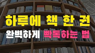 [10강] 책을 하루에 한 권 읽으면 뇌가 완전히 바뀝니다. (feat. 1일1독 하려면 반드시 알아야 하는 10가지)