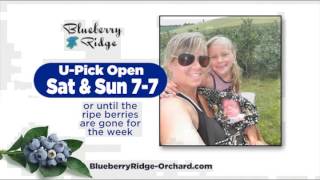 BlueberryRidgeOrchard ItsBerryTime 30 bbro3g2200i