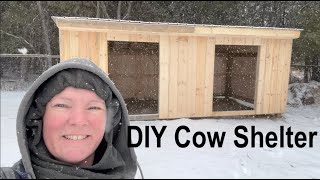 DIY Cow Shelter Ontario, Canada