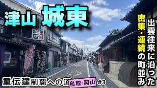 【岡山県津山市 城東】街道沿いに続く津山城下の商家町 城東／重伝建制覇への道 鳥取岡山編#3