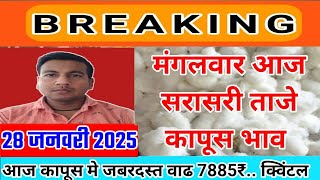 आजचे Live कापूस भाव 28 जनवरी 2025 || kapus bhav today #कापूसबाजारभावआजचे kapus rate aaj ka