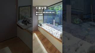 【BAUHAUS．熊本】猫と暮らせる空間【建築家住宅】#Shorts 　#建築家住宅  　#熊本　＃R+house　#注文住宅   #バウハウス