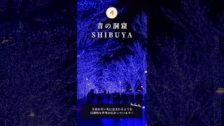 この冬オススメしたい！東京のイルミネーションスポット5選