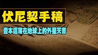 時隔百年，世界上最神秘的書，終於破解了！專家破譯內容後無故瘋魔？裏面竟隱藏著……#伏尼契手稿#外星文明