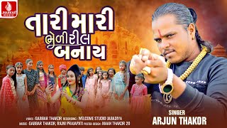 તારી મારી ભેળી રીલ બનાય, Tari Mari Bheli Reel Banay, Arjun Thakor, Gabbar Thakor New Love Song 2023