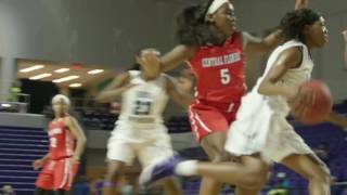 16-17 FSW Women's Basketball Video