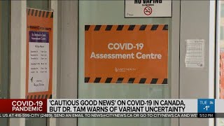 'Cautious good news' on COVID-19 in Canada, Tam issues variant warning