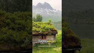 Trees Growing on Top of Houses in Norway 😳  #amazingnature #shorts