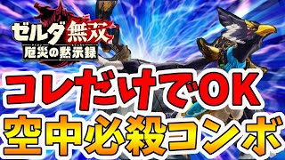 【ゼルダ無双 厄災の黙示録】リーバルの空中コンボはこれでOK！ゲージ1発で削れます。【Hyrule Warriors age of calamity comparison】【naotin】