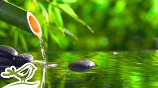 Peaceful Spa Radio 💦 Water Sounds & Relaxing Music 24/7