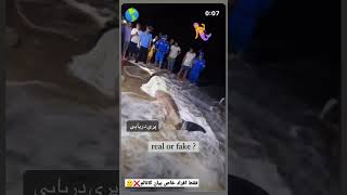 فیک یا واقعی؟(پری دریایی)❌🤯