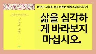 눈부신 오늘(법상) - 당신이 가진 모든 문제는 과거와 미래와 연관된 것일 뿐 '지금 여기'에는 아무 문제가 없다!