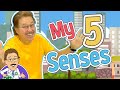 My 5 Senses | 5 Senses Song | Jack Hartmann