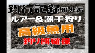 有明海ルアー釣行でそのまま何でも採れる潮干狩り！某ユーチューバーに教えてもらった日