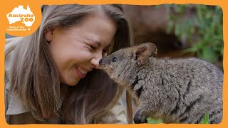 Our 3 new quokkas get their names! | Australia Zoo Life