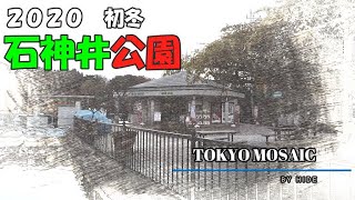 「石神井公園」【風景動画】　物語の舞台にもなった、「四月は君の嘘」の劇中で使用されたクラシックの楽曲をBGMに編集しました！曲名は概要欄をご覧ください！