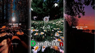 Dandelions | Aesthetic lyrics edit | Audio Slowed | #dandelions #shorts #ruthb