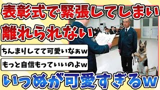 【2ch動物スレ】大活躍により表彰される「警察犬」だったが、緊張してしまい離れられなくなったいっぬが可愛すぎるｗｗｗ