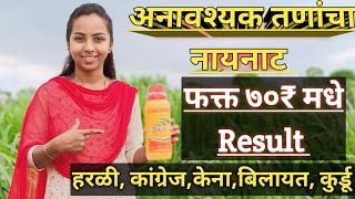 #अनावश्यक तणांचा नायनाट🌱👍 फक्त ७०₹ मधे जबरदस्त Result💯🌱👍#हरळी, कंग्रेज,केणा #mera 71#farming#agri🌱💯✅