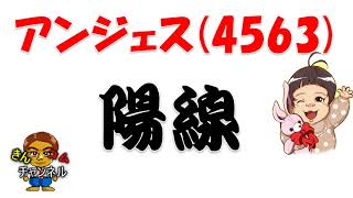 【株式投資・株の勉強】アンジェスの長期展望と短期展望及び鍵となる価格帯について