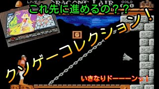 ファミコン ドラゴンズレア！いきなりドーーーーン！なんだこれ！？開始5秒で詰みました………(やまチャンネルTVクソゲーコレクション)クソゲー紹介