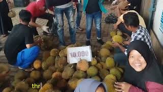 BERBURU DURIAN MURAH DI PONTIANAK #durian #berburudurian #durianmurah #viraldurian #fypbuahdurian