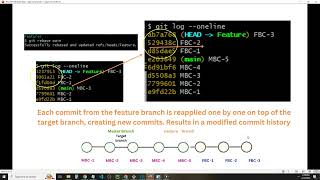 Git Basics || Selenium Java || Automation Testing