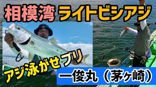 【Sagami Bay light tackle horse mackerel fishing】 Make horse mackerel swim and catch big fish