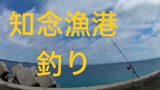 知念漁港釣り#打ち込み釣り #フカセ釣り #沖縄釣り