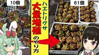 Playtube Pk Ultimate Video Sharing Website Playtube Pk Ultimate Video Sharing Website