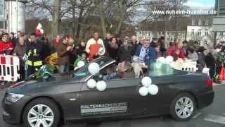 Lindwurm der Freude 2014, Karneval in Arnsberg