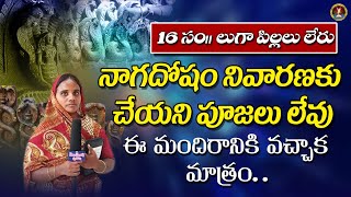 16 సం|| లుగా పిల్లలు లేరు.నాగదోషం నివారణకు చేయని పూజలు లేవు #ravikumarb#youtubevideos#viral #miracel