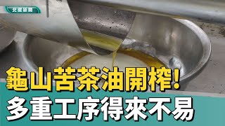 桃園 生活|龜山大坑苦茶油開榨 多重工序得來不易