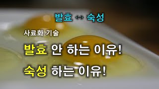 134- 발효 ↔ 숙성 - 가축 사료 - 발효 안 하는 이유 - 숙성 하는 이유- 5