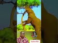 💯💯👍🏻டேய் குமாரு உனக்கு வந்த சோதனை 😂😂😂🐘💥 shorts comedy funny short viralvideo fathimasvoiceover