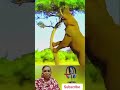 💯💯👍🏻டேய் குமாரு உனக்கு வந்த சோதனை 😂😂😂🐘💥 shorts comedy funny short viralvideo fathimasvoiceover