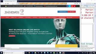 1 WebDriver Basics and Reading Javadoc's