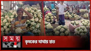 চকলেটের চেয়েও কম দামে মিলছে ফুলকপি! | Vegetable Market | Bazar Price Update | Bogura