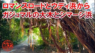 【コラボ企画】hiroTVのhiroさんと行く久高島！ロマンスロードに大きなガジュマルとシマーシ浜の絶景！