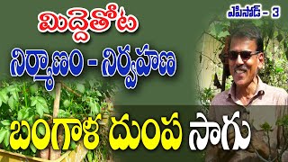 Terrace Garden Lessons|How to grow Potatoes| మిద్దెతోట పాఠాలు|రఘోత్తమ్‌రెడ్డి|బంగాళదుంప సాగు