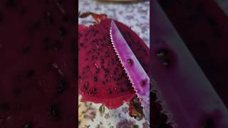 Dragon fruit , pitaya #shorts