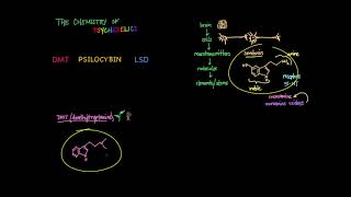 The Chemistry of Psychedelics