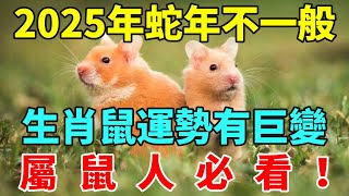 屬鼠人必看！2025年蛇年不一般，生肖鼠運勢運程有巨變！不跟你開玩笑！【智者明心】#生肖 #運勢 #命理 #屬相 #風水