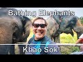 Bathing with Elephants in Khao Sok Thailand