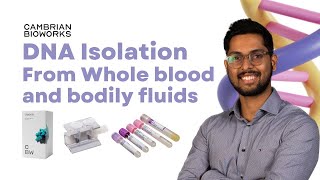 How to isolate DNA from whole blood samples