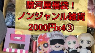 駿河屋福袋！ノンジャンル雑貨2000円x4③