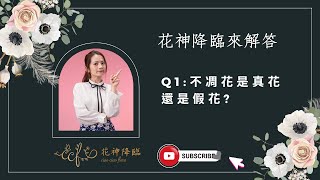 《花神降臨來解答Q1:不凋花是永生花嗎？是真花還是假花》