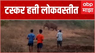 Sindhudurg Elephants : तिलारीच्या खोऱ्यात टस्कर हत्ती थेट लोकवस्तीत