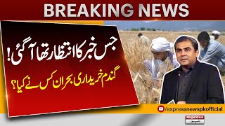 Big News | Wheat Price In Pakistan 2024 | Wheat Price Latest Update | New Rate List | Pakistan News