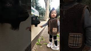 今天是喂羊的小苹果！#shorts #人类幼崽成长记 #日常生活